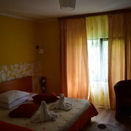 Guest house Tudor Mamaia Nord Navodari
